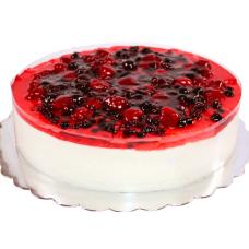 Yogurt Cake - A Light and Fresh Delight for Any Occasion - 8/16 Pieces