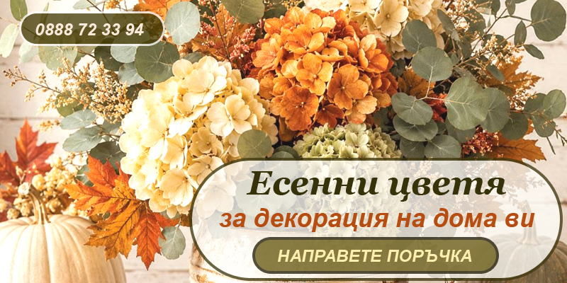 Кошници с цветя