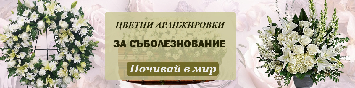 Банер