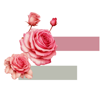 Онлайн магазин за цветя Margarita Flowers